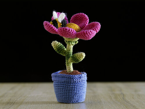 Το λουλούδι