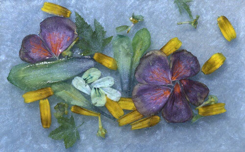 Λουλούδια σε υγρό γυαλί (epoxy)